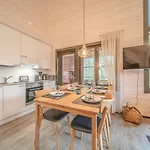 Levillas Sointuilevi 1b66, 2 Pass Included * Levi