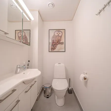 Levillas Sointuilevi 1b66, 2 Pass Included