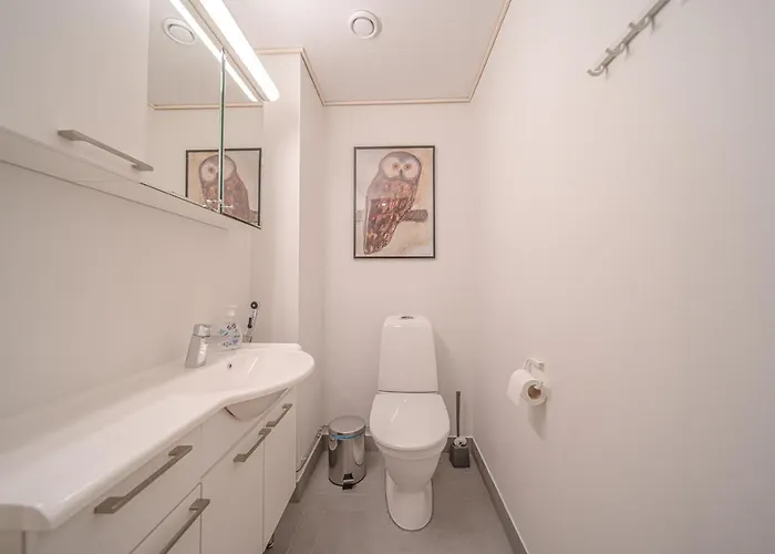 Levillas Sointuilevi 1b66, 2 Pass Included